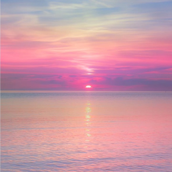 Meet your Posher, Nora - Picture 1 of 1